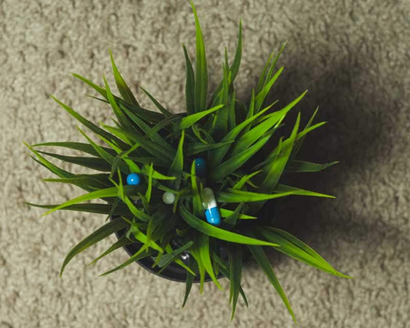 Trawa z tabletkami, co symbolizuje uzdrowisko.