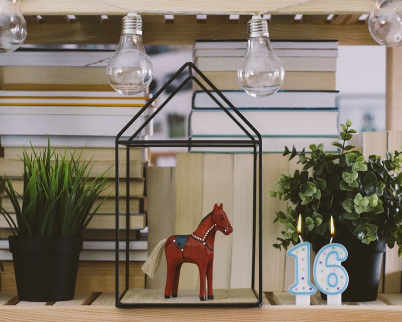 Konik Brathanków w Domku za książkami.