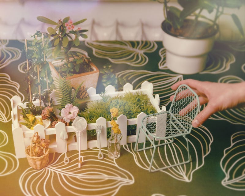 Wspomnienia i wiosna 2011, miejska wolność, muzyka.